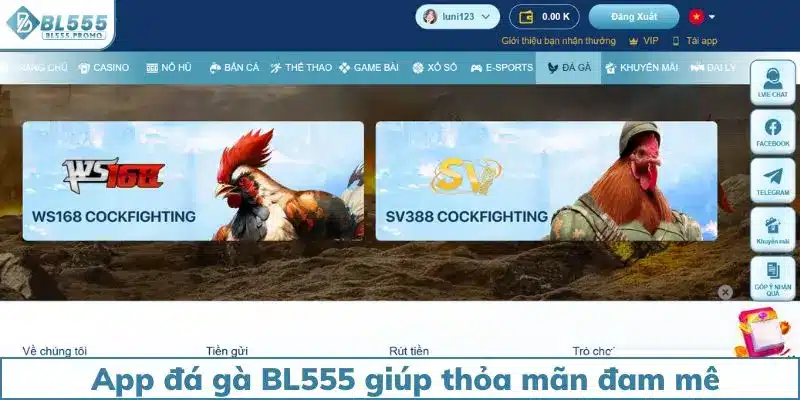 App đá gà BL555 giúp thành viên thỏa mãn đam mê