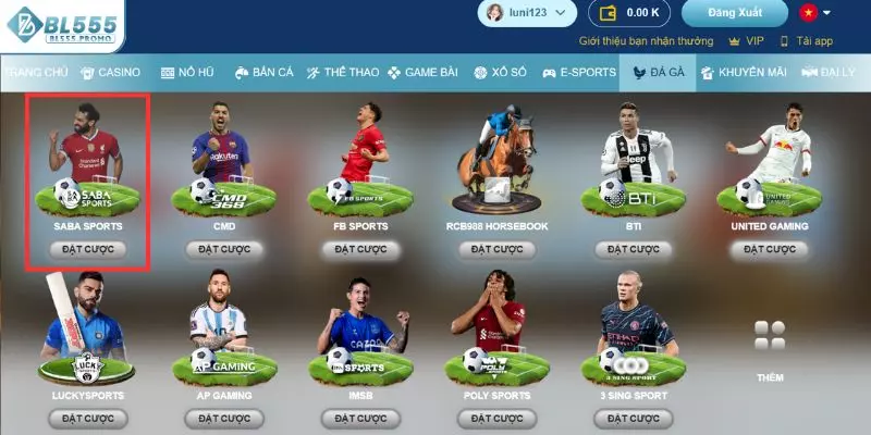 Sảnh Saba Sports BL555 ghi điểm trong lòng người chơi